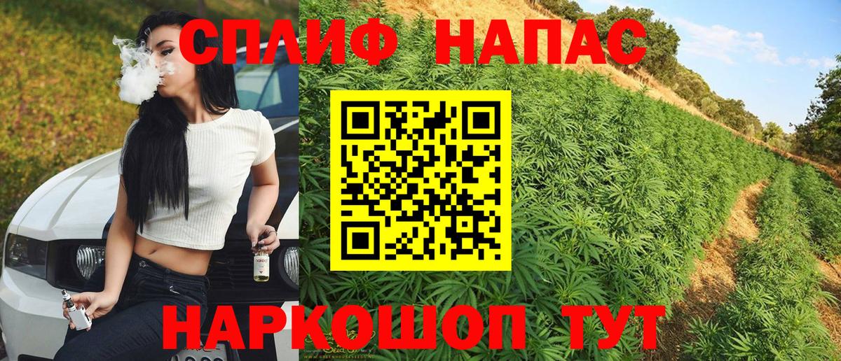 МАРИХУАНА план Воткинск